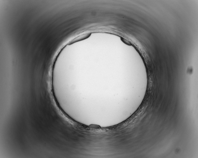 X0000103421528200810101007