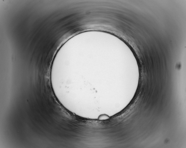 X0000103421529200810101007