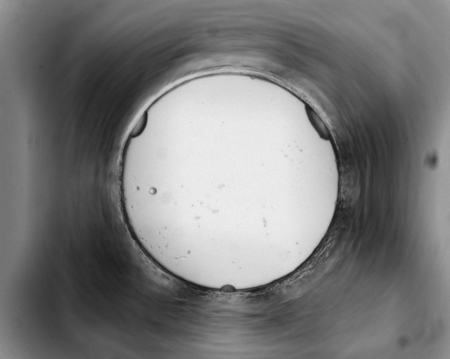 X0000103421532200810101007