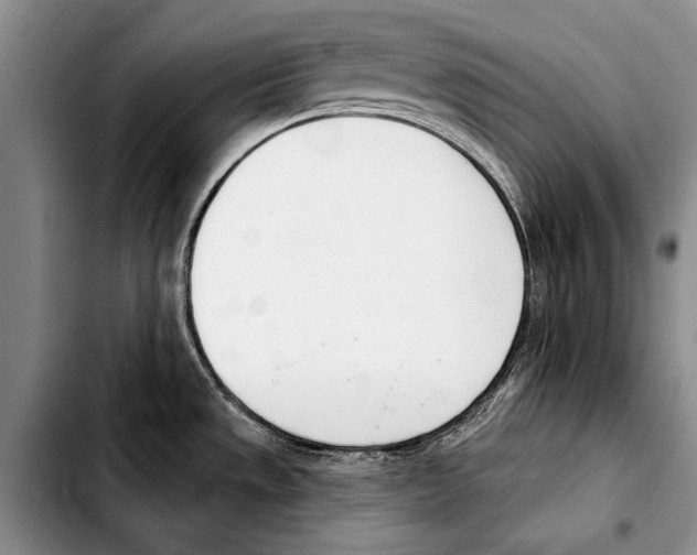 X0000103421533200810101007