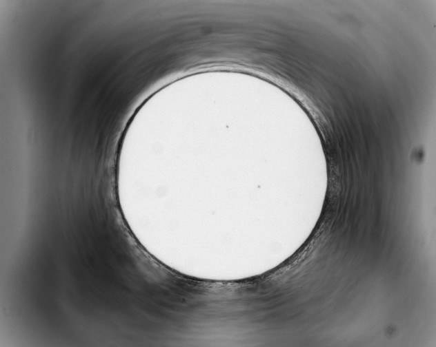 X0000103421534200810101007