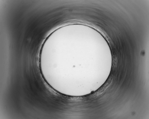X0000103421535200810101007