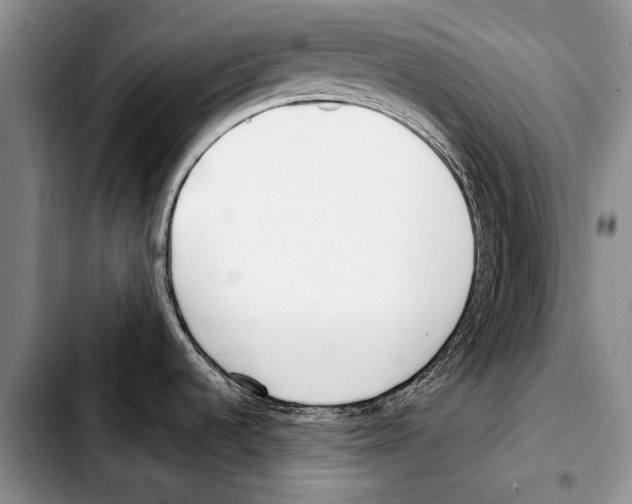 X0000103421536200810101007