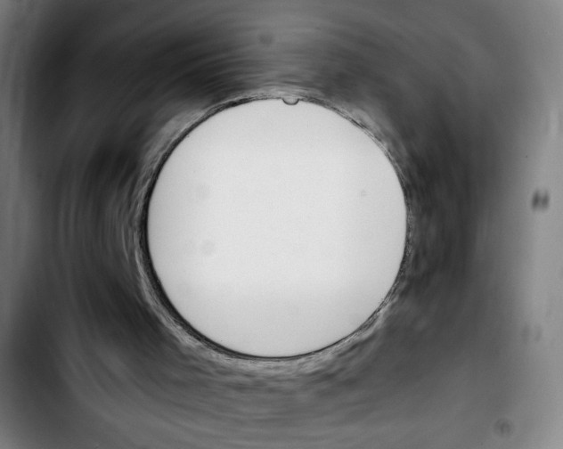 X0000103420001200810241046