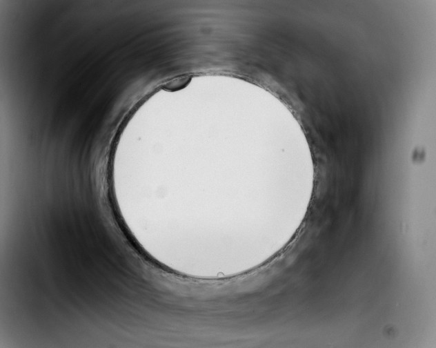 X0000103420002200810241046