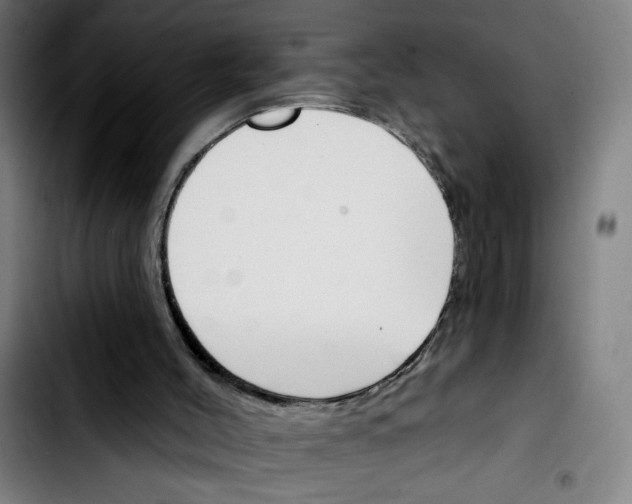 X0000103420004200810241045