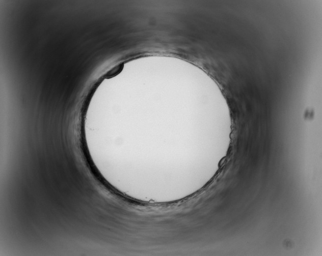 X0000103420005200810241045