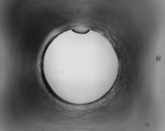X0000103420006200810241045