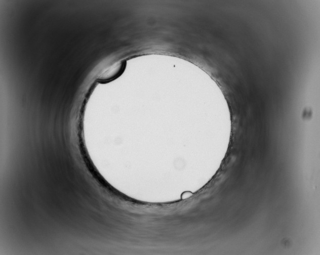 X0000103420007200810241045