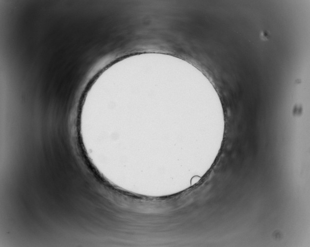 X0000103420008200810241045