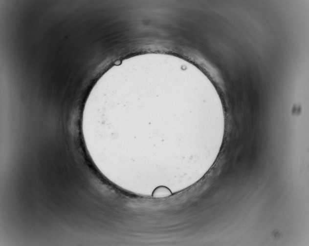 X0000103420009200810241045