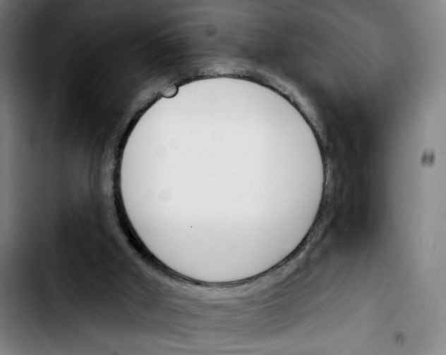 X0000103420010200810241045