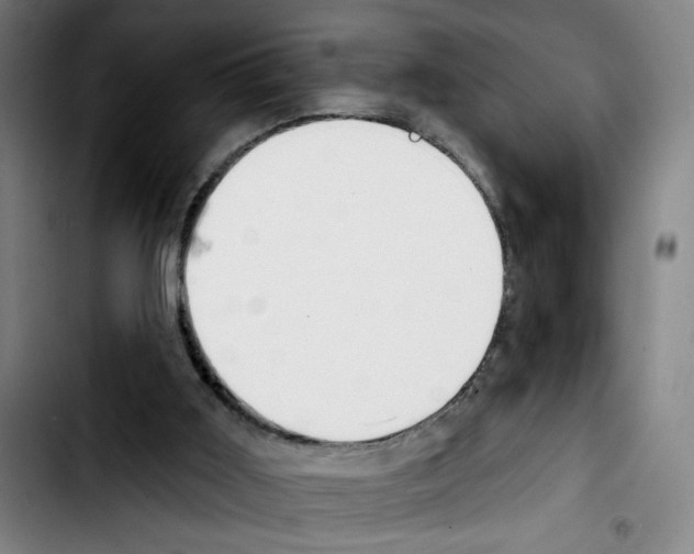 X0000103420011200810241045