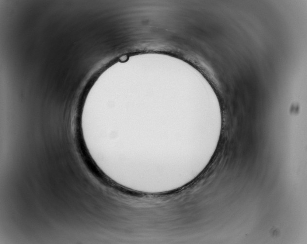 X0000103420012200810241045