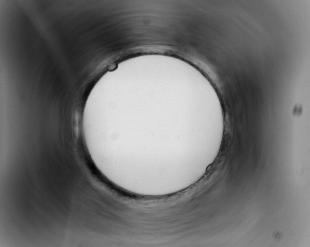 X0000103420013200810241045