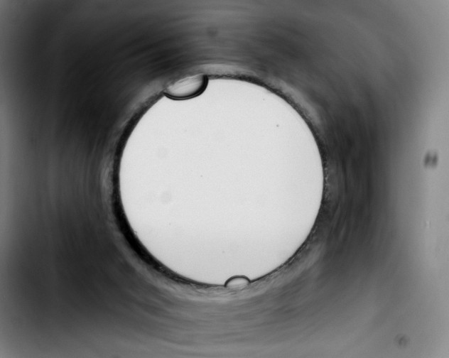 X0000103420015200810241045