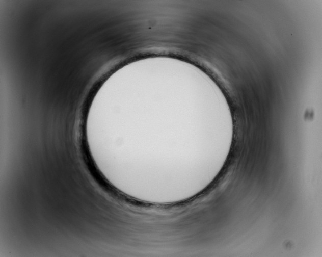 X0000103420016200810241045