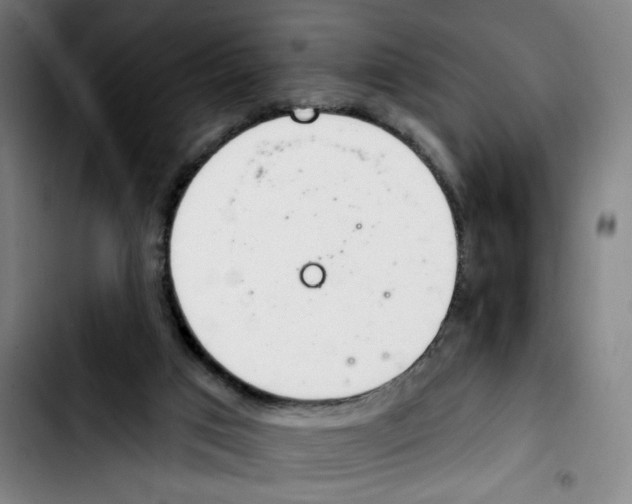 X0000103420017200810241045