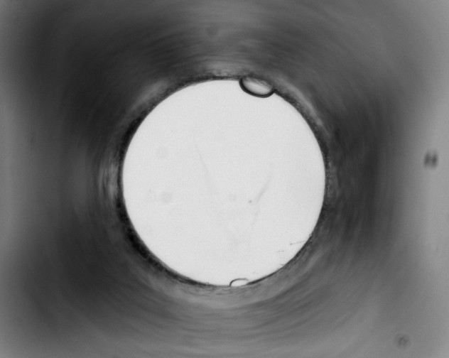 X0000103420019200810241045