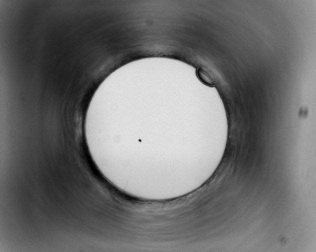 X0000103420021200810241045
