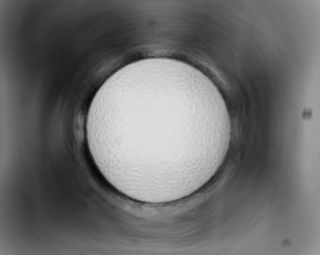 X0000103420022200810241045