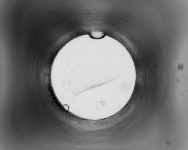 X0000103420023200810241045
