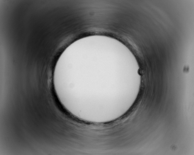 X0000103420024200810241045