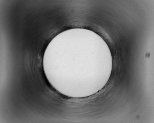 X0000103420025200810241045