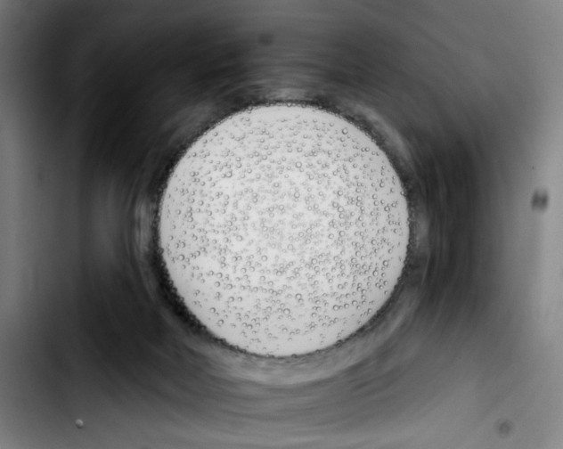 X0000103420026200810241045