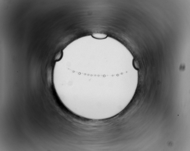 X0000103420028200810241045