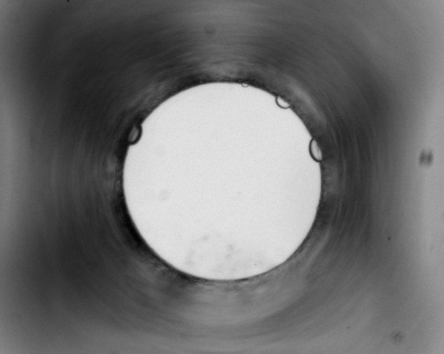 X0000103420029200810241045