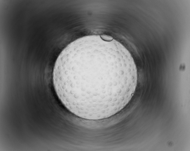 X0000103420030200810241045