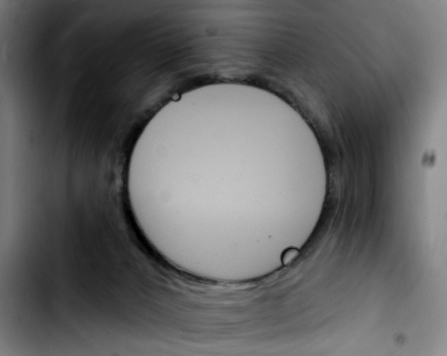 X0000103420032200810241045