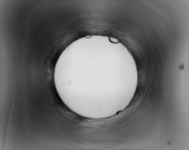 X0000103420033200810241045