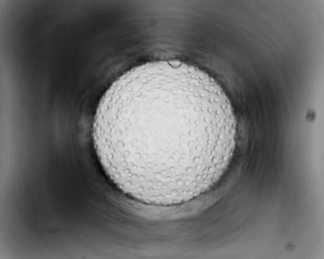 X0000103420034200810241045