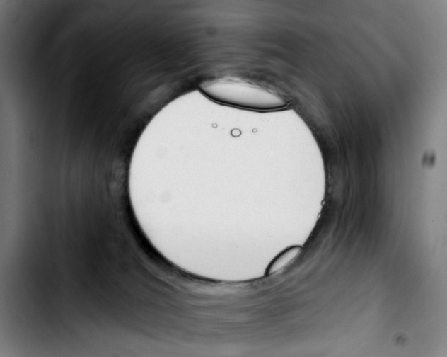 X0000103420036200810241045