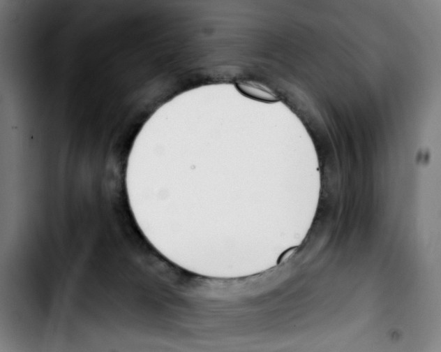 X0000103420037200810241045