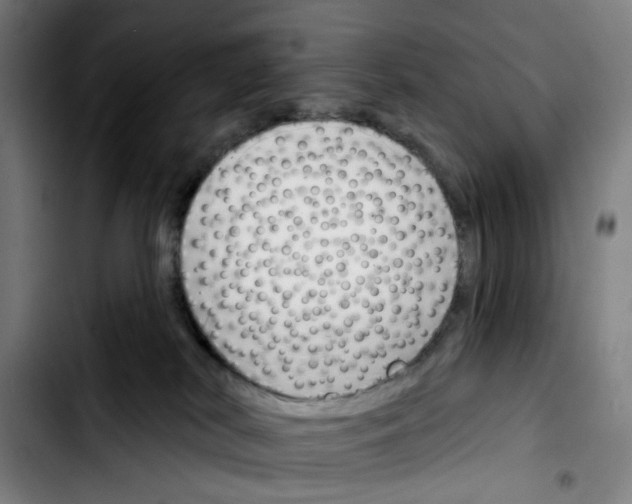 X0000103420038200810241045