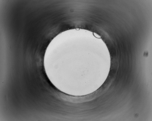 X0000103420039200810241045
