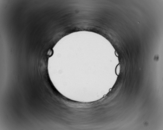 X0000103420040200810241045