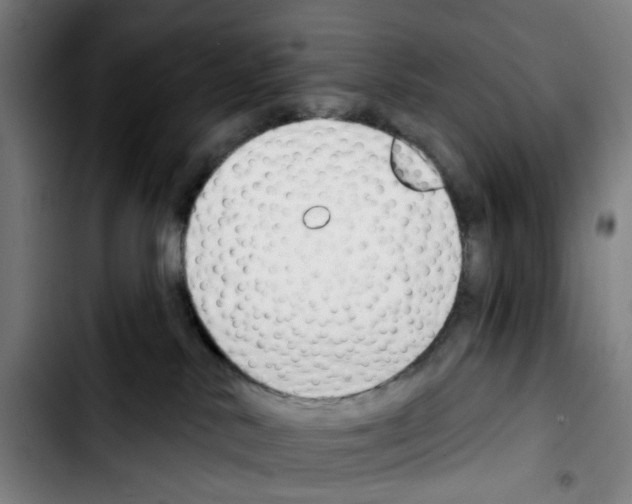 X0000103420042200810241045