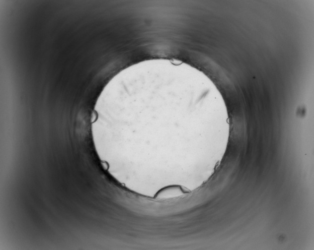 X0000103420043200810241045