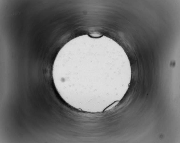 X0000103420044200810241045