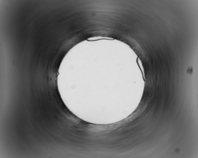 X0000103420045200810241045
