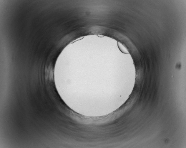 X0000103420046200810241045