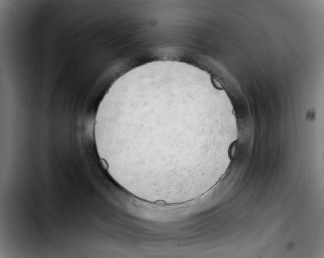 X0000103420047200810241045