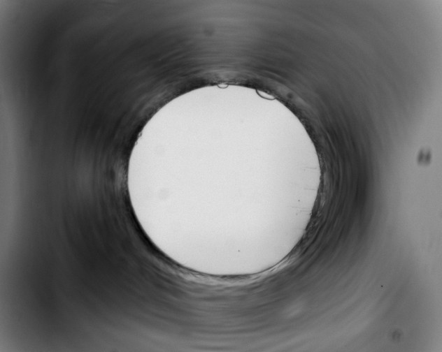 X0000103420048200810241045