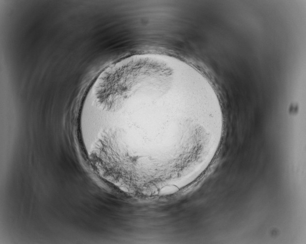 X0000103420049200810241044