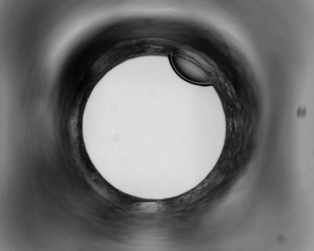 X0000103420050200810241044