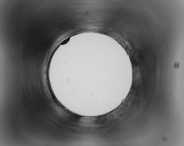 X0000103420051200810241044